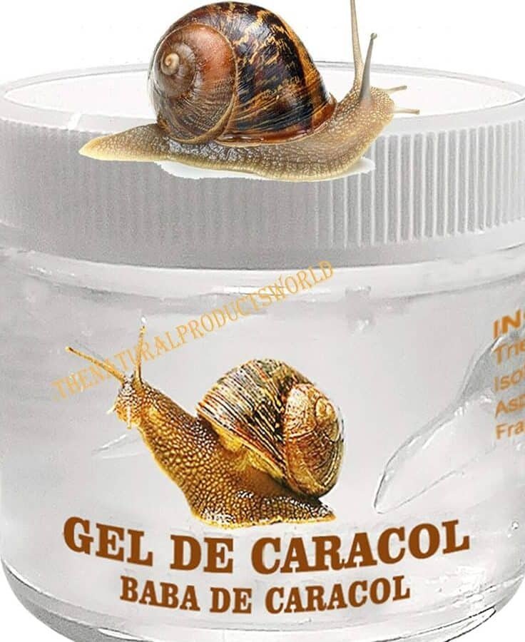 ingredientes-clave-cosmetica-coreana-baba-de-caracol