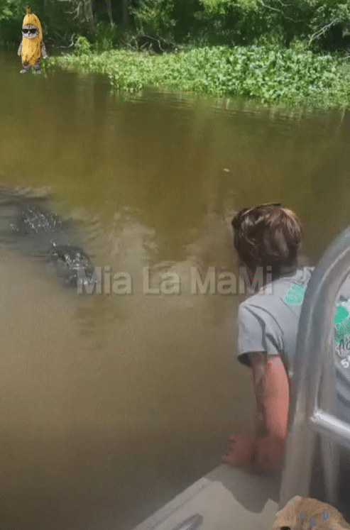 parte 2 del cocodrilo